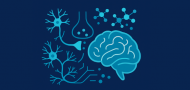 Neural and Molecular Mechanisms of Alcohol-Memory Reconsolidation and Relapse