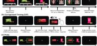 A Computational Model for Individual Differences in Nonreinforced Learning