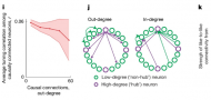 Connectivity underlying motor cortex activity during goal-directed behaviour