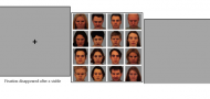 Attention bias variability as a cognitive marker of PTSD: A comparison of eye-tracking and reaction time methodologies