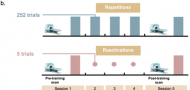 Distinct Neural Plasticity Enhancing Visual Perceptio
