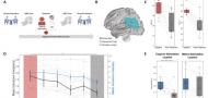 Hippocampal-network transcranial magnetic stimulation to target reactivated intrusive memories: A proof-of-concept study in PTSD treatment