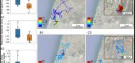 Early experience affects foraging behavior of wild fruit bats more than their original behavioral predispositions