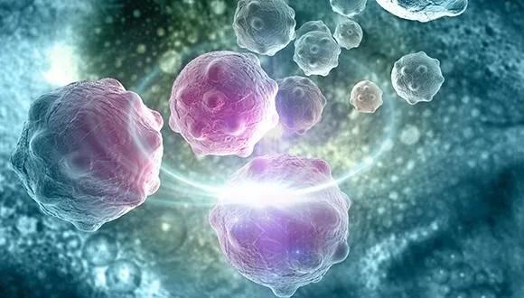 When Support Cells Take the Lead: Pericytes in Pancreatic Homeostasis and Disease When Support Cells Take the Lead: Pericytes in Pancreatic Homeostasis and Disease