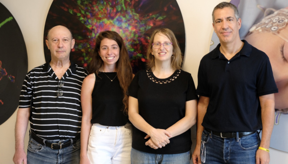 Technological breakthrough can help identify clinical responses in unresponsive conditions
